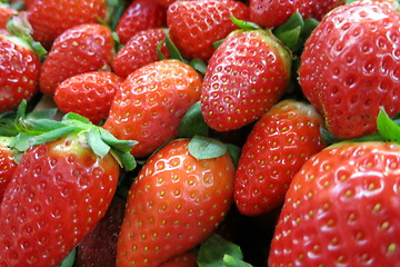 Image showing Strawberries - Supermarket, Spain