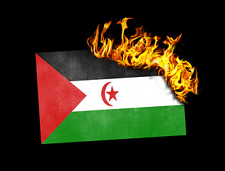 Image showing Flag burning - Western Sahara