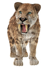 Image showing Big Cat Smilodon