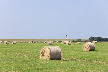 Image showing Hay round bales on meadow