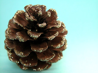 Image showing pine cone