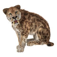 Image showing Big Cat Smilodon