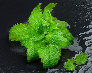 Image showing Mint Leafs