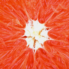 Image showing Grapefruit Background