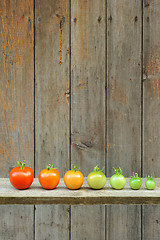 Image showing Evolution of red tomato - maturing process of the fruit - stages of development