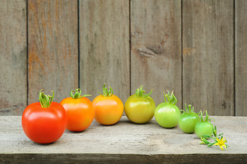 Image showing Evolution of red tomato - maturing process of the fruit - stages of development