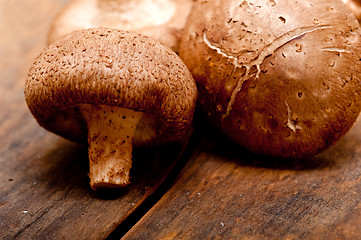 Image showing shiitake mushrooms