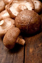 Image showing shiitake mushrooms