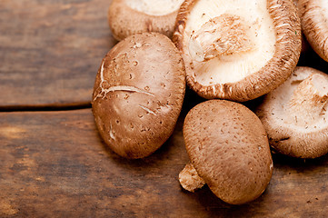 Image showing shiitake mushrooms