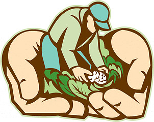 Image showing Hands Holding Organic Farmer Produce Retro