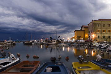 Image showing piran