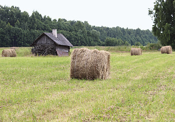 Image showing Hay rolls