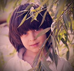 Image showing Portrait of a boy