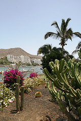 Image showing Flower Island, the lovefull paradise