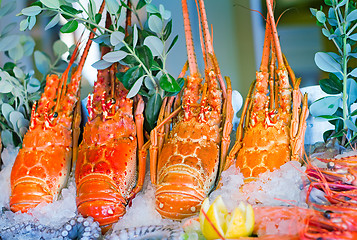 Image showing Lobster: marine crustaceans of the Mediterranean sea.