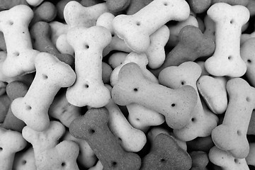 Image showing Heap of dried dog food biscuits 