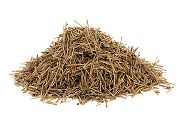 Image showing Chinese Ephedra