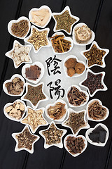 Image showing Yin Yang Chinese Herbal Medicine