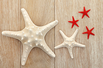 Image showing Sea Stars