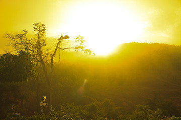 Image showing Autumn landscape at misty morning