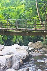 Image showing wooden bridge over the stream