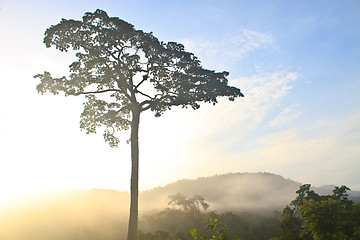 Image showing Autumn landscape at misty morning