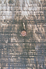 Image showing close up Old wood texture