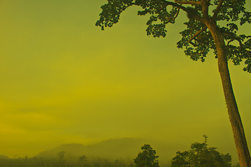 Image showing Autumn landscape at misty morning