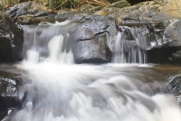 Image showing Nature waterfall in deep forest