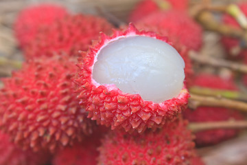 Image showing wild fruit from forest, wild lychee