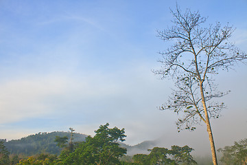 Image showing Autumn landscape at misty morning