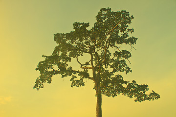 Image showing Autumn landscape at misty morning