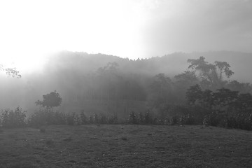 Image showing Autumn landscape at misty morning