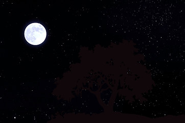 Image showing Moon in the sky with stars.