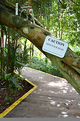 Image showing Caution sign of mind your head in the garden 