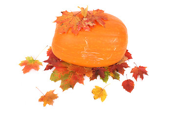 Image showing autumn leaves