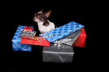 Image showing chihuahua and presents