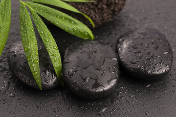 Image showing Green leaf on spa stone on wet black surface