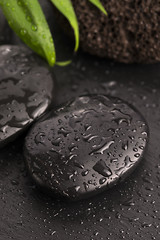 Image showing Green leaf on spa stone on wet black surface