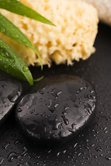 Image showing Green leaf on spa stone on wet black surface