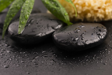 Image showing Green leaf on spa stone on wet black surface