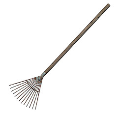 Image showing Grass Rake