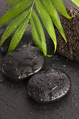 Image showing Green leaf on spa stone on wet black surface