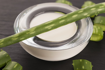 Image showing aloe vera - leaves and cream