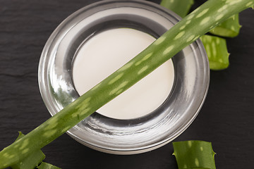 Image showing aloe vera - leaves and cream