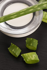 Image showing aloe vera - leaves and cream