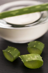 Image showing aloe vera - leaves and cream