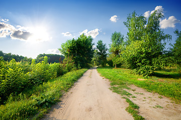 Image showing Trees and road