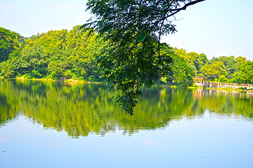 Image showing Clean lake in green spring summer forest. Blue sunny sky.