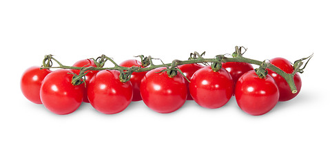 Image showing In front cherry tomatoes on the stem